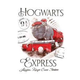 Ręcznik przedszkolny dla dziecka 30x50 Harry Potter Express Carbotex